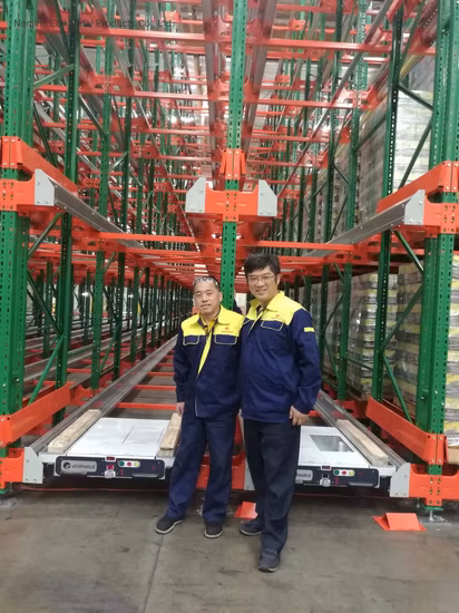 Популярные направляющие для поддонов для промышленных холодильных складов.